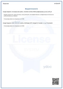 Лицензия Лицензия